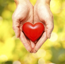 resized_heart_in_hands_2.jpg